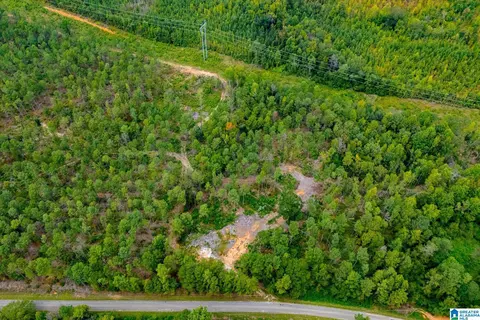 80 73 Acres County Road 99 #00, Wedowee, AL 36278