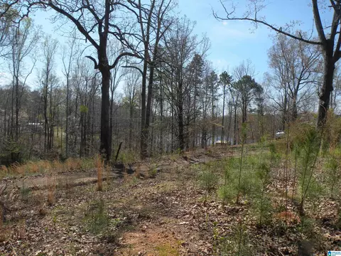 152 Honeysuckle Ln #0, Sylacauga, AL 35150