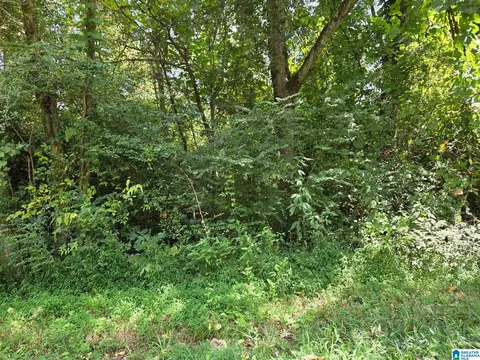00 Finley Ave #10 AND 11, Sylacauga, AL 35150