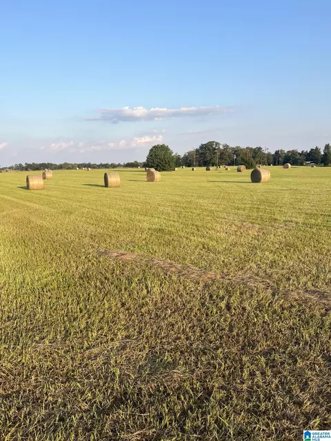 0 County Road 13 #1, Clanton, AL 35045