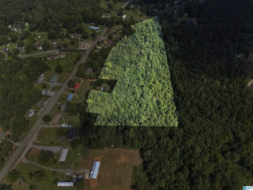  0 Sycamore St #1, Jemison, AL 35085 photo 8