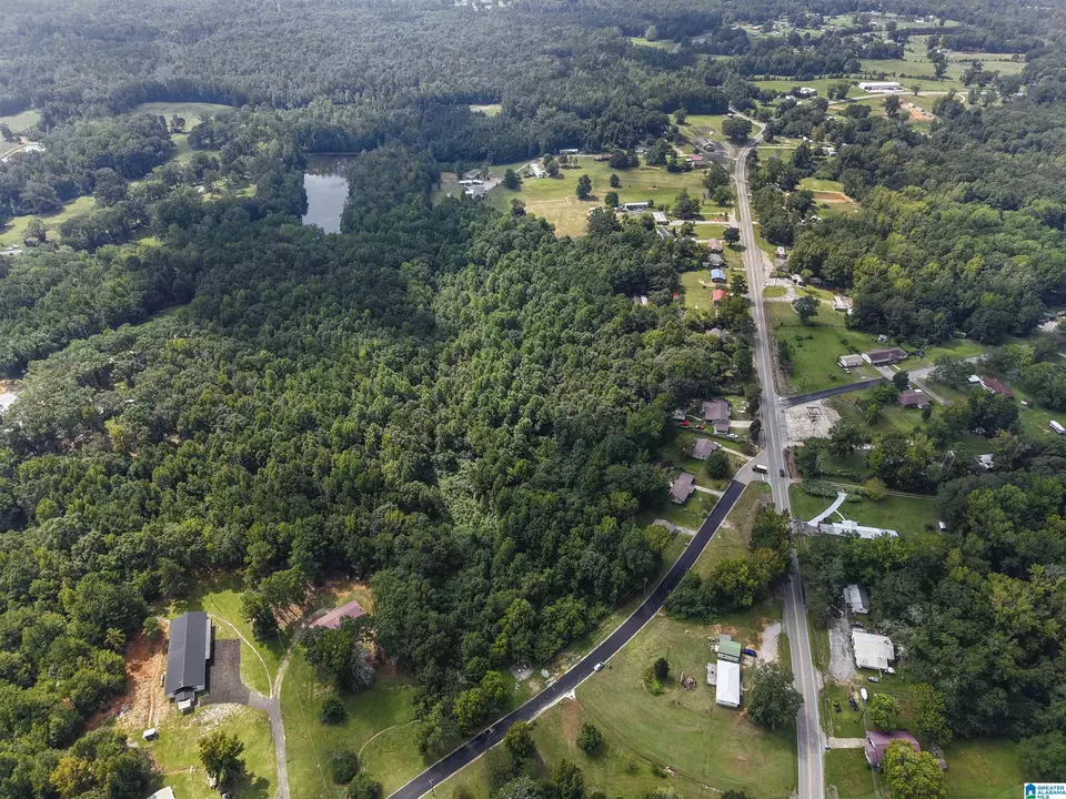  0 Sycamore St #1, Jemison, AL 35085 photo 17