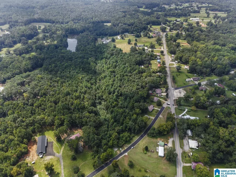  0 Sycamore St #1, Jemison, AL 35085 photo 20