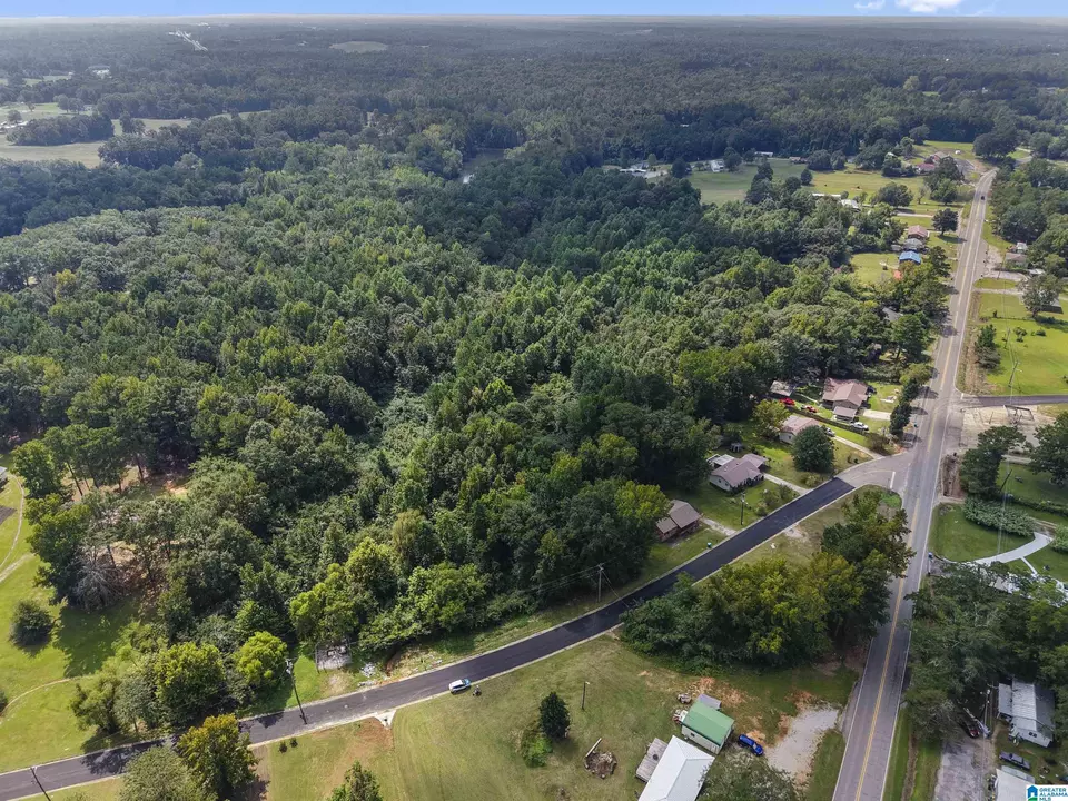  0 Sycamore St #1, Jemison, AL 35085 photo 15