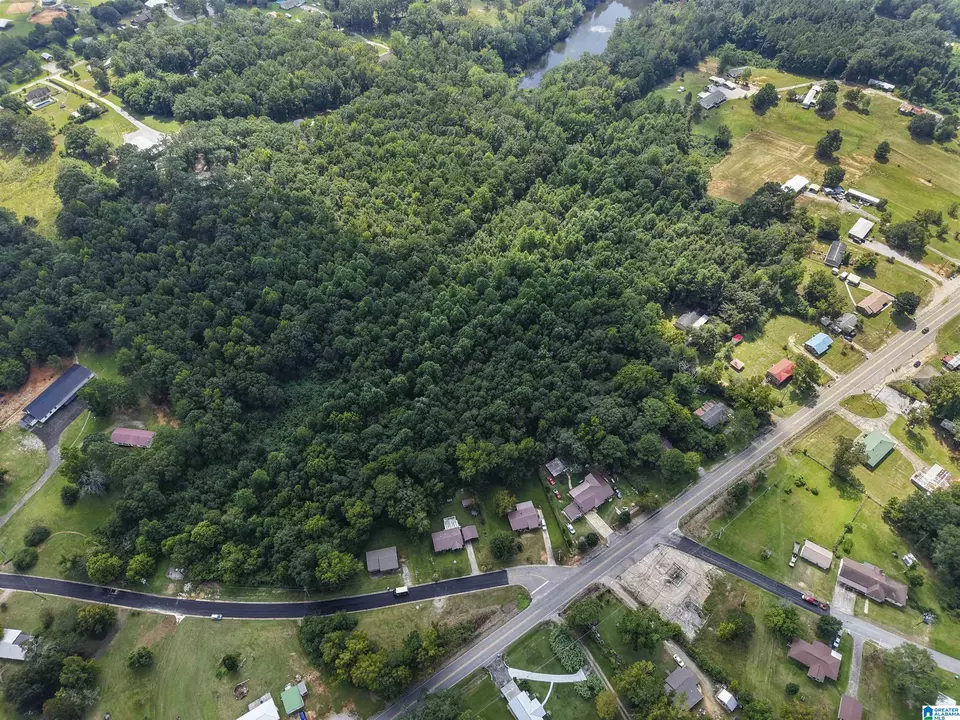  0 Sycamore St #1, Jemison, AL 35085 photo 22
