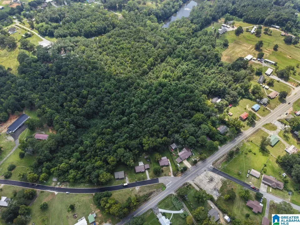 0 Sycamore St #1, Jemison, AL 35085 photo 24