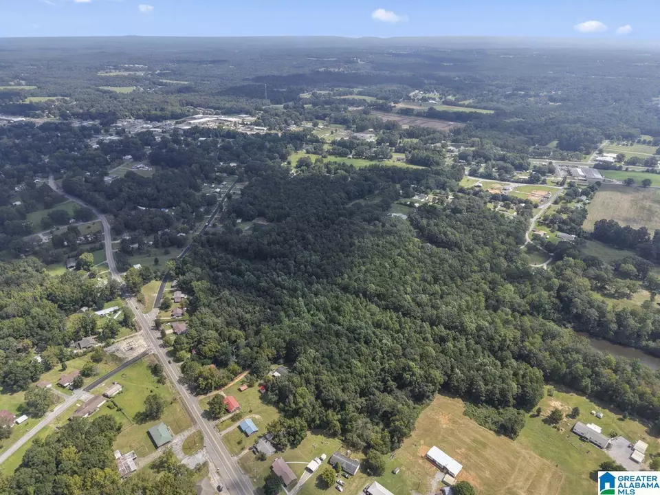  0 Sycamore St #1, Jemison, AL 35085 photo 3