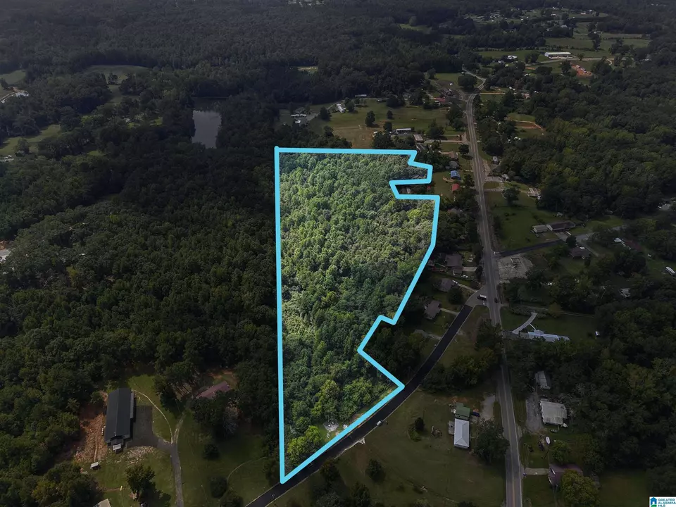  0 Sycamore St #1, Jemison, AL 35085 photo 21