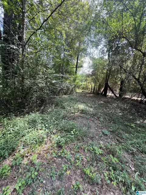 2475 County Road 228 #LOT 3, Clanton, AL 35045