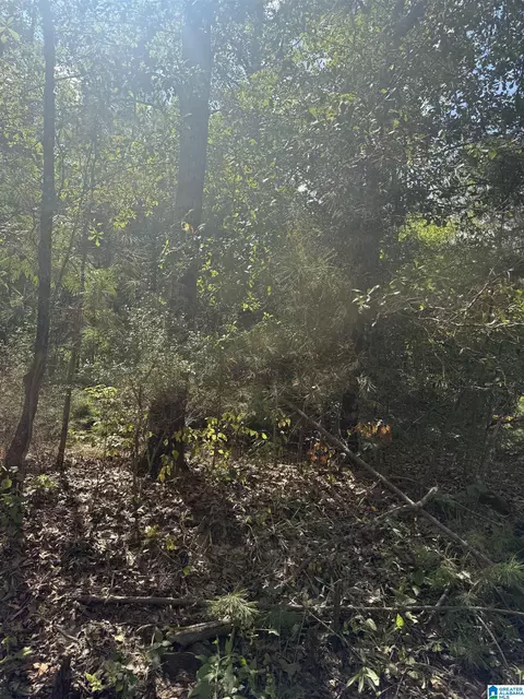 lot45 County Road 264 #45, Wedowee, AL 36278