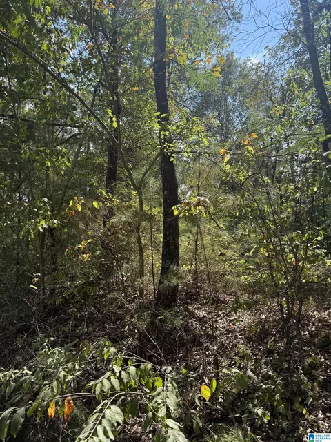lot46 County Road 264 #46, Wedowee, AL 36278