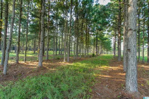 0 County Road 48 #1, Jemison, AL 35085