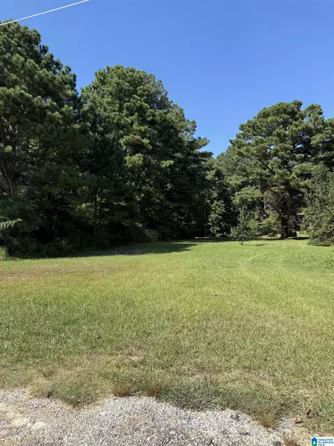 highway 46, Heflin, AL 36264