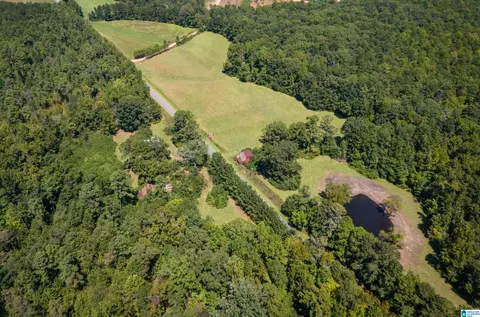 0 County Road 59 #0, Roanoke, AL 36274