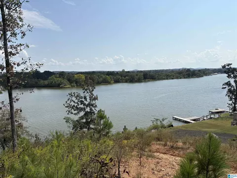 lake pointe drive, Lincoln, AL 35096