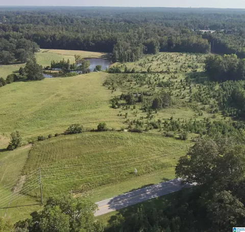 0 New Harmony Road Apt 35 Acres #35 ACRES +/-, Clanton, AL 35045
