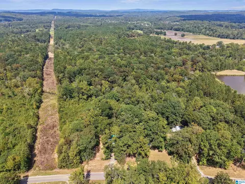 4111 Highway 83, Vincent, AL 35178 photo 11