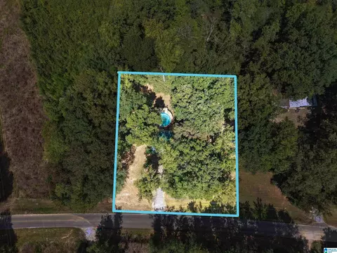 4111 Highway 83, Vincent, AL 35178 photo 10