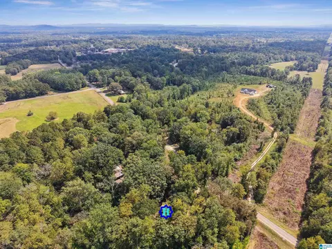 4111 Highway 83, Vincent, AL 35178 photo 14