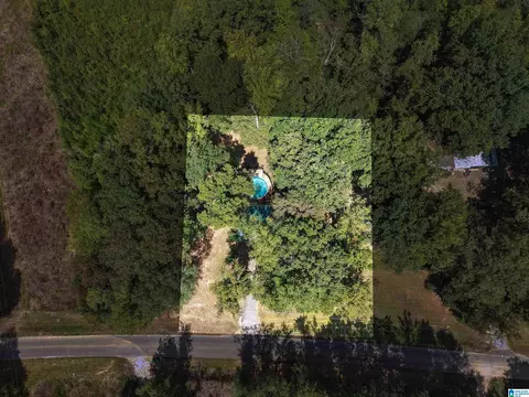 4111 Highway 83, Vincent, AL 35178 photo 9