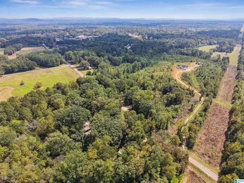 4111 Highway 83, Vincent, AL 35178 photo 13