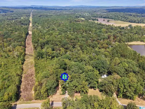 4111 Highway 83, Vincent, AL 35178 photo 12