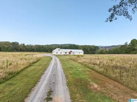 Other - 65 Kudzu Rd, Oneonta, AL 35121 photo 17 of 18