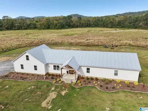 Exterior - 65 Kudzu Rd, Oneonta, AL 35121 photo 2 of 12