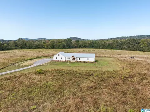 Exterior - 65 Kudzu Rd, Oneonta, AL 35121 photo 11 of 12