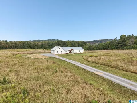 Exterior - 65 Kudzu Rd, Oneonta, AL 35121 photo 12 of 12
