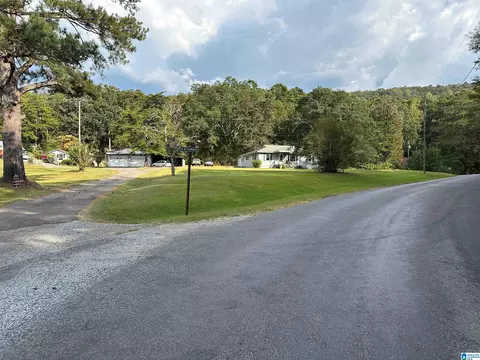 493 Pine Mountain Rd, Remlap, AL 35133 photo 2