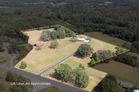 2310 Mineral Springs Rd, Pell City, AL 35125