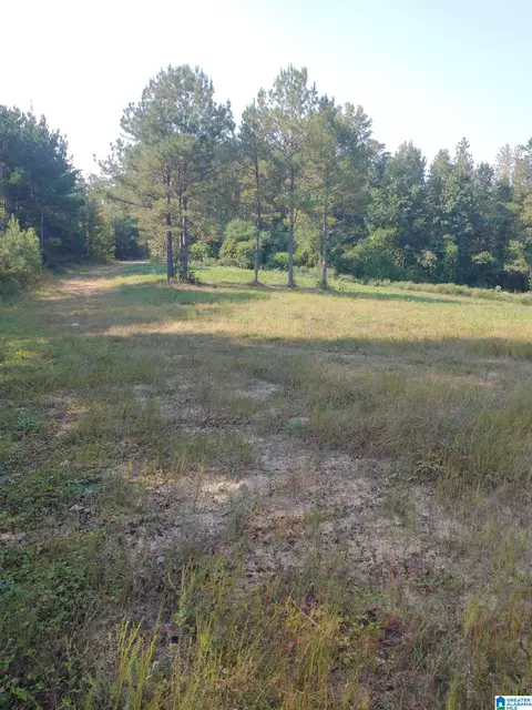 008100 Mckesie St #81 ACRES, Riverside, AL 35135