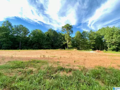 0 County Road 852 #1, Ranburne, AL 36273