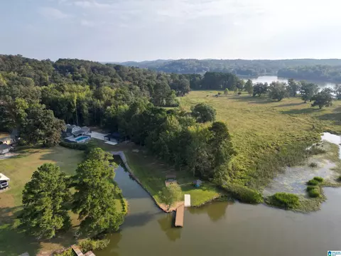 View/Area - 167 Lock Haven Cir, Riverside, AL 35135 photo 4 of 17