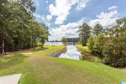 View/Area - 167 Lock Haven Cir, Riverside, AL 35135 photo 6 of 17
