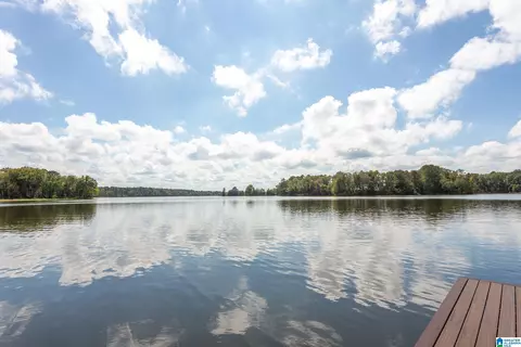 View/Area - 167 Lock Haven Cir, Riverside, AL 35135 photo 12 of 17