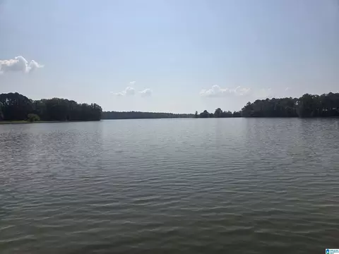 View/Area - 167 Lock Haven Cir, Riverside, AL 35135 photo 17 of 17