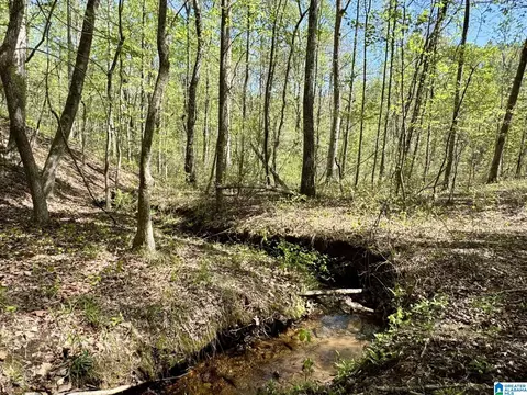 Tract 2 County Road 268 #2, Roanoke, AL 36274