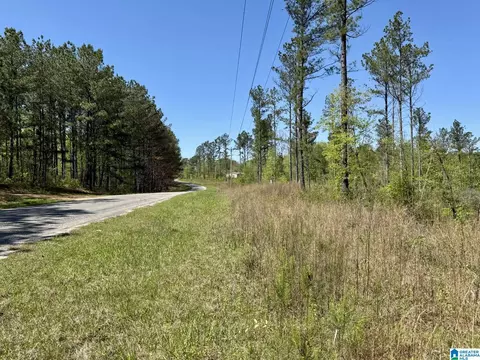Tract 5 County Road 268 #5, Roanoke, AL 36274