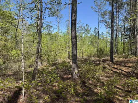 Tract 3 County Road 268 #3, Roanoke, AL 36274