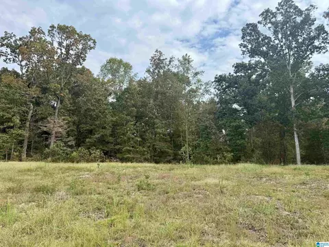 00 Hickory Ridge Rd #40, Oneonta, AL 35121