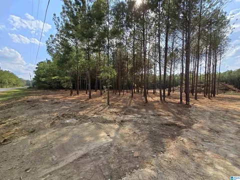 5 88 Acres Covington Ave SE #16 TRAC1 AND TRAC2, Attalla, AL 35954
