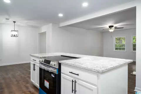 Other - 312 Lehigh Rd, Trafford, AL 35172 photo 6 of 7