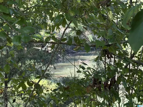 highway 23, Ashville, AL 35953