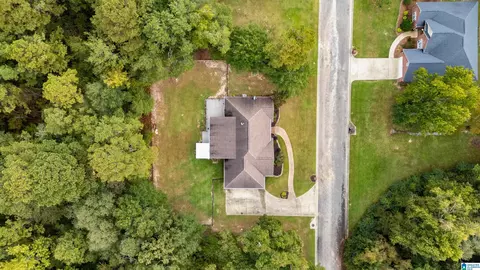 146 County Road 80, Clanton, AL 35045 photo 49