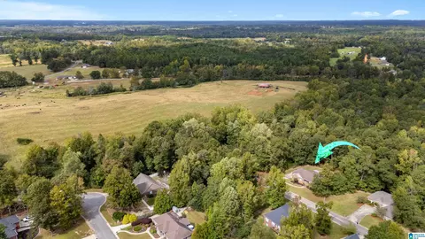 146 County Road 80, Clanton, AL 35045 photo 53