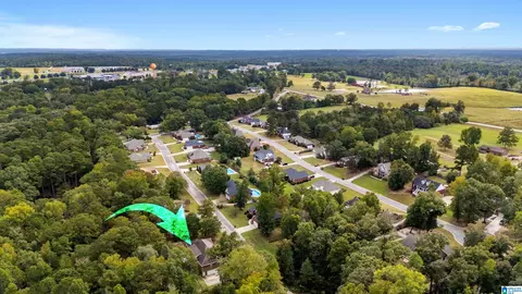 146 County Road 80, Clanton, AL 35045 photo 51