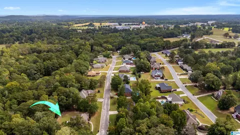 146 County Road 80, Clanton, AL 35045 photo 50