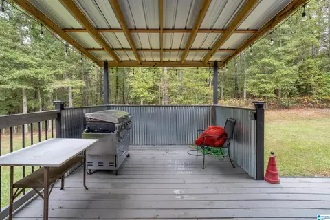 146 County Road 80, Clanton, AL 35045 photo 39